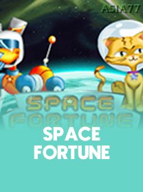 Space Fortune icon