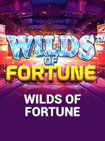 Panduan Bermain Wilds of Fortune banner